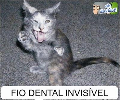 Fio dental invisivel