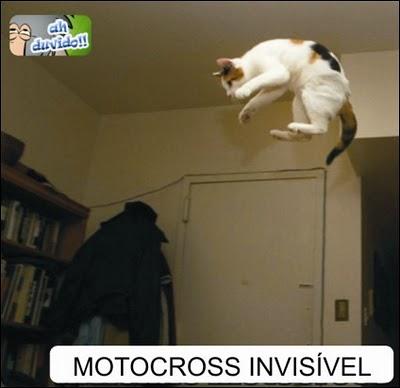 X games felino acrobacias de motocross