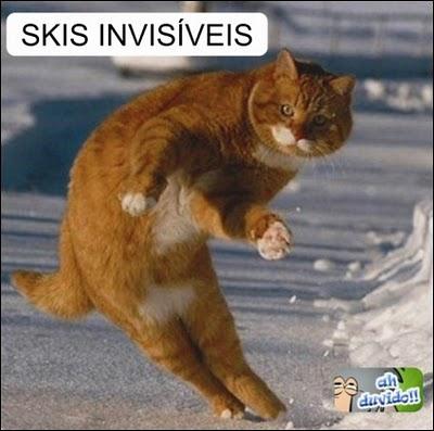 Ski Invisivel