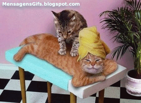massagem boa